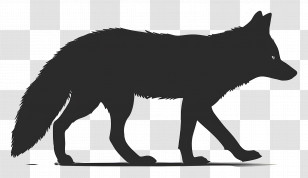 Arctic Fox Silhouette - Black Wolf Silhouette Design Transparent PNG
