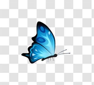 Mariposas - Blue Butterfly With Wings Spread Illustration Transparent PNG