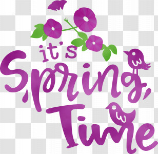 Floral Design Transparent PNG