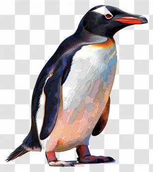 Penguin - Gentoo Penguin Digital Illustration Transparent PNG