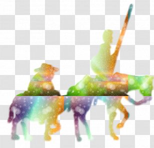 Close-up Organism - QUIJOTE Transparent PNG