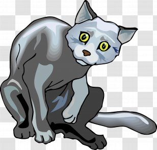 Whiskers Kitten Cat Toxoplasma Gondii Clip Art - Packed Transparent PNG