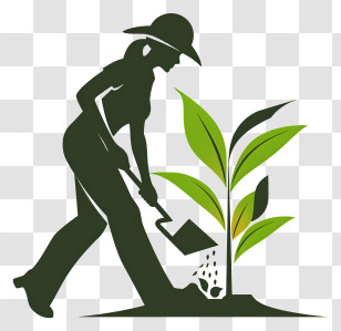 Gardening Day - Silhouette Of Gardener Planting Transparent PNG