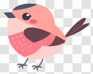 Cute Bird - Cute Cartoon Bird Illustration In Pink Transparent PNG