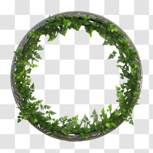Ivy Wreath
 - Leafy Green Circular Wreath Transparent PNG