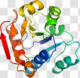 Human Behavior Organism Body Jewellery Clip Art - Artwork - Medicago Transparent PNG