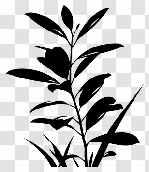 Plant Silhouette - Silhouette Of A Plant With Leaves Transparent PNG