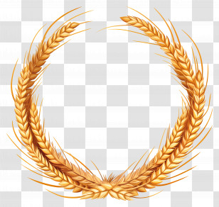 Wheat Frame - Beautiful Golden Wheat Wreath For Harvest Season Transparent PNG