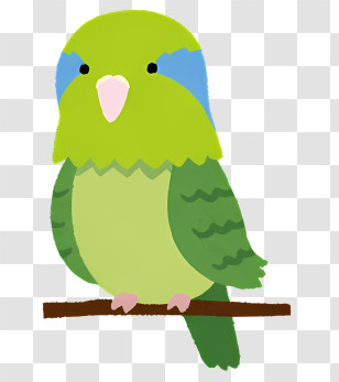 Bird Green Bird Blue Beak Perched Bird Branch Transparent PNG