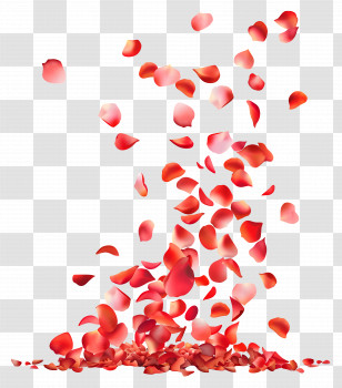Falling Flowers - Falling Red Rose Petals Illustration Transparent PNG