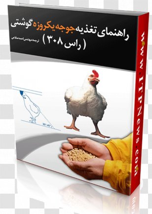 Broiler Chicken Meat Food Nutrition Transparent PNG