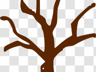 Clip Art Branch Tree Illustration Free Content - Visual Arts Transparent PNG