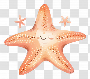 Cute Starfish - Smiling Starfish Character Illustration Transparent PNG