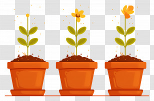 Marigolds Flower In Pot - Potted Growing Plants In Cartoon Style Transparent PNG