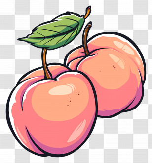 Peaches - Cartoon Illustration Of Peaches With Leaves Transparent PNG
