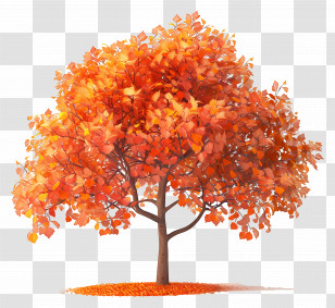 3d Tree - Orange Autumn Tree With Bright Leaves Transparent PNG