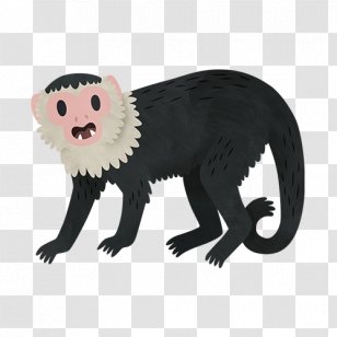 Ferret Cat Mammal Mustelids Fur Transparent PNG
