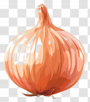 Onion - Realistic Single Onion Bulb Illustration Transparent PNG