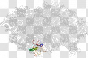 Sky Plc - Tree - Photosystem I Transparent PNG