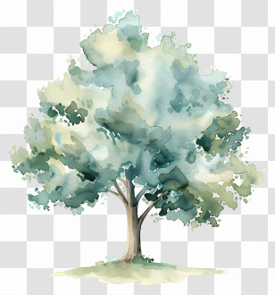Watercolor Tree Plan - Watercolor Tree With Green And Blue Foliage Transparent PNG
