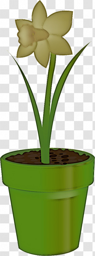 Flower Floral Vase Transparent PNG