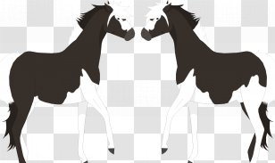 Mustang Foal Stallion Colt Donkey - Mane Transparent PNG