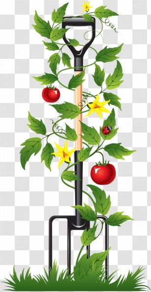 Drip Irrigation Controller Sprinkler Water Timer - Tap - Gardening Transparent PNG