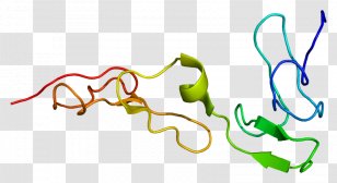 Protein S Deficiency Myelin Zero - Cartoon - Watercolor Transparent PNG