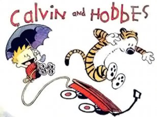 Calvin & Hobbes The Revenge Of Baby-sat Exploring And Hobbes: An Exhibition Catalogue Comic Strip - Bill Watterson - Retirement Pictures Transparent PNG