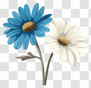 Daisy Flower - Blue And White Daisy Flowers Illustration Transparent PNG