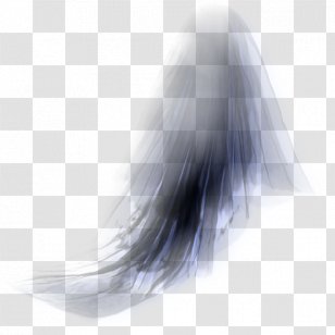 Long Hair Fur Tail - Veiled Transparent PNG