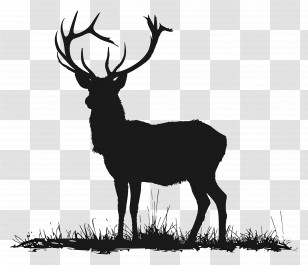 Deer Silhouette - Deer Silhouette With Majestic Antlers Transparent PNG