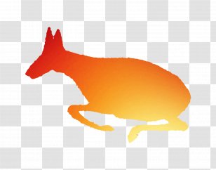 Red Fox Dog Canidae Mammal Clip Art - Rabbit - Orange Sa Transparent PNG