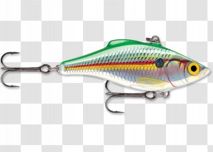 Plug Rapala Fishing Baits & Lures Surface Lure Transparent PNG