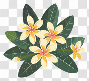 Plumeria Flower - Yellow Frangipani Flowers With Green Leaves Transparent PNG