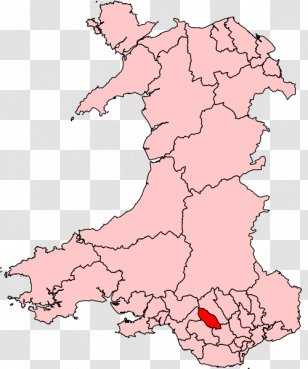 Blaenau Gwent Rhondda Cardiff Newport Electoral District - Election - Measure Of The National Assembly For Wales Transparent PNG