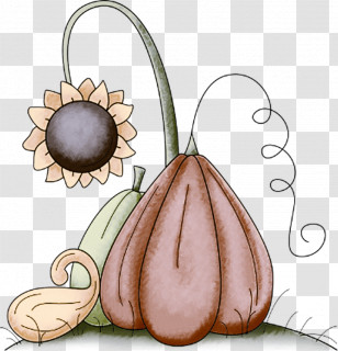 Plant Flower Transparent PNG