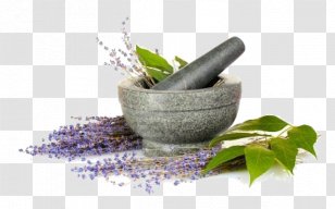 Perfume Aromatherapy Odor Human Body Oil - Plant Transparent PNG