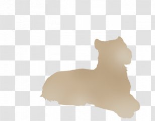 Lion Cat Puppy Cheetah Mane - Skin Transparent PNG