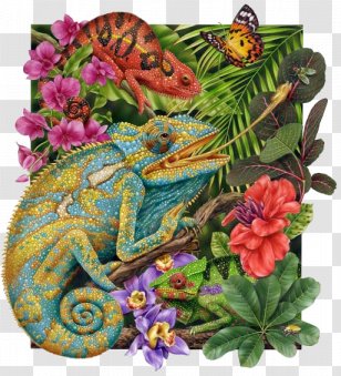 Cartoon Nature Background - Printmaking - Morning Glory Chameleon Transparent PNG