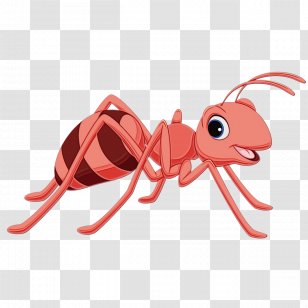 Person Logo - Communication - Termite Mosquito Transparent PNG