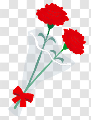 Flower - Red Carnation Bouquet With Ribbon Decoration Transparent PNG