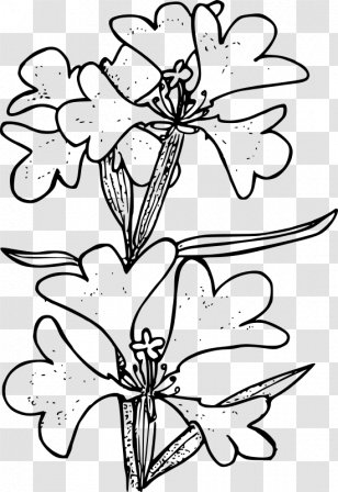 Floral Design Clip Art - Line - Tiptoes Transparent PNG