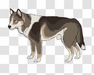 Saarloos Wolfdog Siberian Husky East Laika Czechoslovakian West - Kunming - Angry Dog Transparent PNG