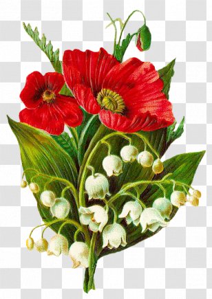 Lily Of The Valley United States Poppy Flower Lilium Candidum - Crossstitch - Retro Hand-painted Floral Material Transparent PNG