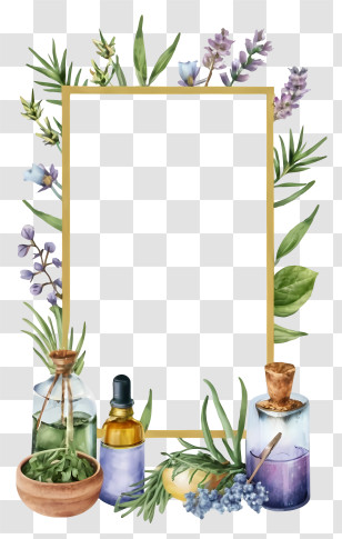 Watercolor Painting - Herbal Bottles With Plants Transparent PNG