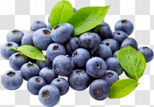 Juice Blueberry Fruit Clip Art - Electronic Cigarette Aerosol And Liquid - Blueberries Transparent PNG
