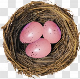Bird Nest Deviled Egg Transparent PNG