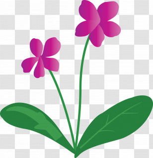 Violet Flower Transparent PNG