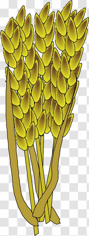 Euclidean Vector - Pixel - Wheat Transparent PNG